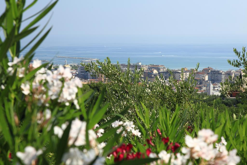 La Panoramica Agroturismo San Benedetto del Tronto
